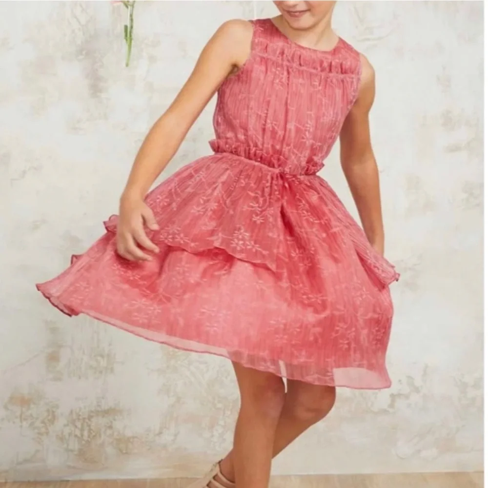NWOT Chasing Fireflies Coral Crinkle chiffon Dress